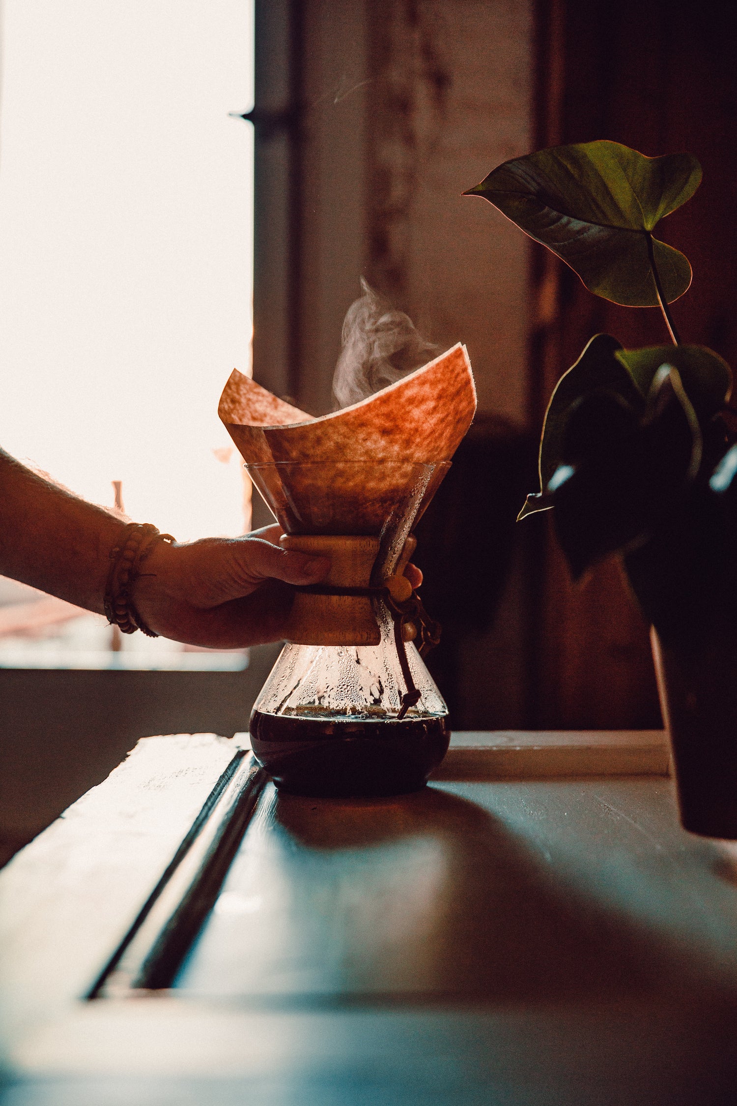 En hånd, der holder en karaffel med et dampende kaffefilter, formentlig under processen med at lave over-kaffe. Sollys strømmer gennem et vindue i baggrunden og oplyser en grøn potteplante på en træoverflade.