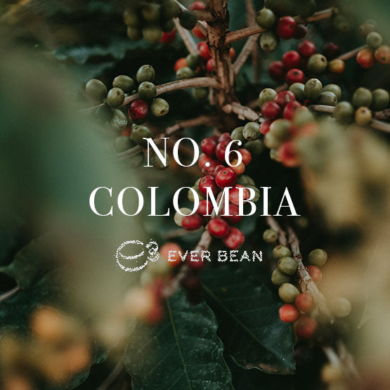 Nærbillede af kaffekirsebær med klynger af grønne og røde bær. Tekstoverlejringen lyder "No. 06 · Colombia Dark Roast" og "EverBean" under et stiliseret kaffebønnelogo med slørede grønne blade i baggrunden, der forstærker den naturlige tiltrækning.