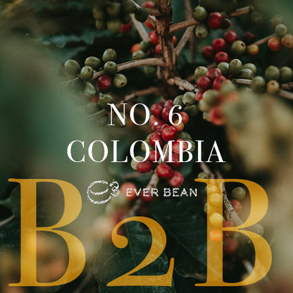 Nærbillede af modne og umodne kaffekirsebær på grene, med "No. 06 · Colombia Supremo (b)" og "EverBean" med hvide og guldbogstaver, der fanger essensen af colombiansk kaffe i hver bønne.